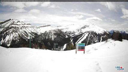 Fernie: Ptarmigan (skifernie.com)