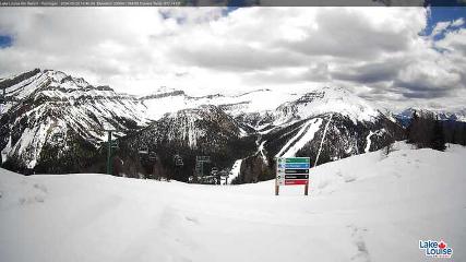 Fernie: Ptarmigan (skifernie.com)