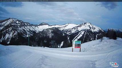 Fernie: Ptarmigan (skifernie.com)