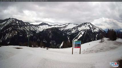 Fernie: Ptarmigan (skifernie.com)
