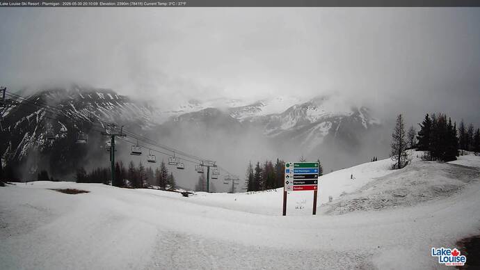 Webcam Fernie: Ptarmigan