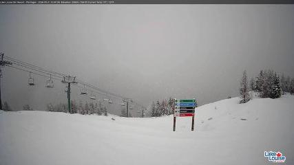 Fernie: Ptarmigan (skifernie.com)