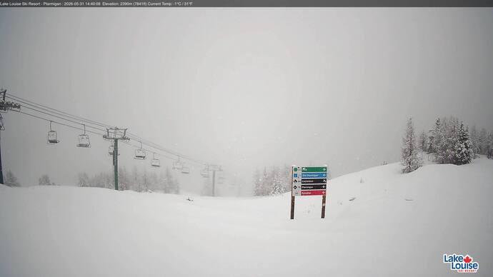 Webcam Fernie: Ptarmigan