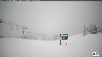Fernie: Ptarmigan (skifernie.com)