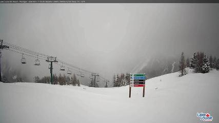 Fernie: Ptarmigan (skifernie.com)