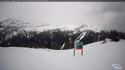Fernie: Ptarmigan (skifernie.com)