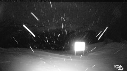 Fernie: Ptarmigan (skifernie.com)
