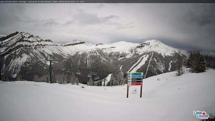 Fernie: Ptarmigan (skifernie.com)