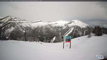 Fernie: Ptarmigan (skifernie.com)