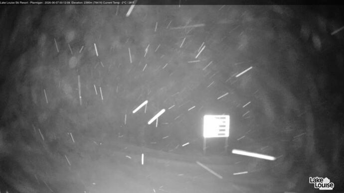 Webcam Fernie: Ptarmigan