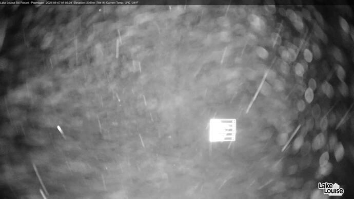 Webcam Fernie: Ptarmigan