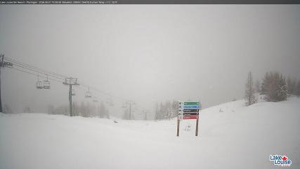 Fernie: Ptarmigan (skifernie.com)