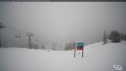Fernie: Ptarmigan (skifernie.com)