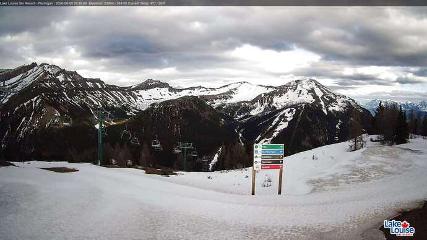 Fernie: Ptarmigan (skifernie.com)