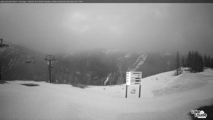 Fernie: Ptarmigan (skifernie.com)