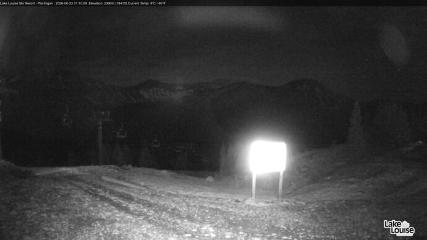 Fernie: Ptarmigan (skifernie.com)