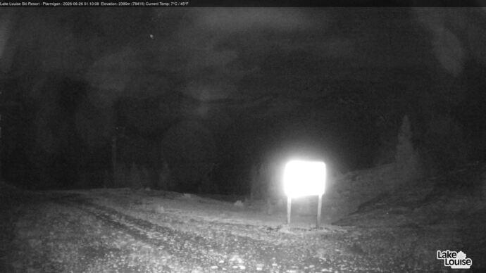 Webcam Fernie: Ptarmigan