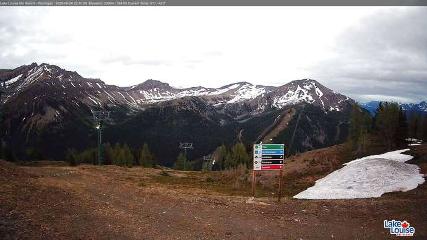 Fernie: Ptarmigan (skifernie.com)