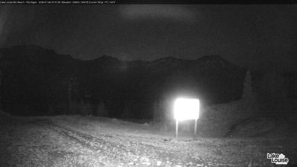 Fernie: Ptarmigan (skifernie.com)
