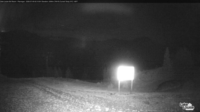 Webcam Fernie: Ptarmigan