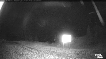 Fernie: Ptarmigan (skifernie.com)