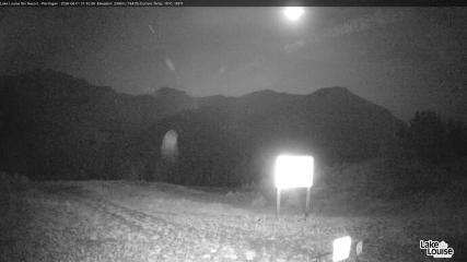 Fernie: Ptarmigan (skifernie.com)