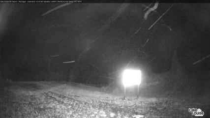 Fernie: Ptarmigan (skifernie.com)