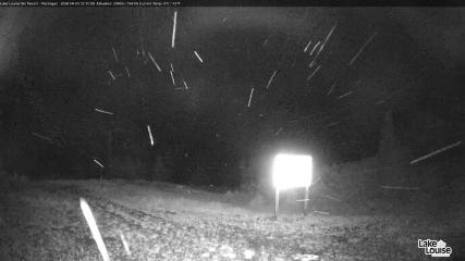 Fernie: Ptarmigan (skifernie.com)