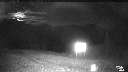 Fernie: Ptarmigan (skifernie.com)