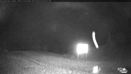 Fernie: Ptarmigan (skifernie.com)