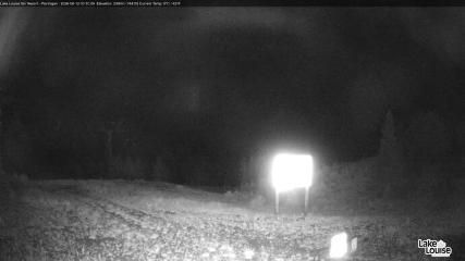 Fernie: Ptarmigan (skifernie.com)