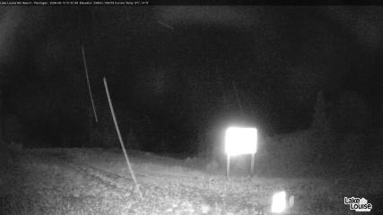 Fernie: Ptarmigan (skifernie.com)
