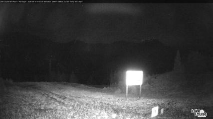 Fernie: Ptarmigan (skifernie.com)