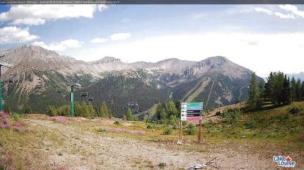Fernie: Ptarmigan (skifernie.com)