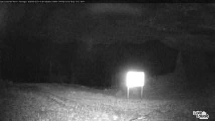 Fernie: Ptarmigan (skifernie.com)