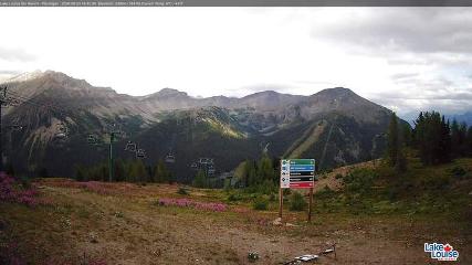 Fernie: Ptarmigan (skifernie.com)