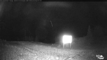 Fernie: Ptarmigan (skifernie.com)