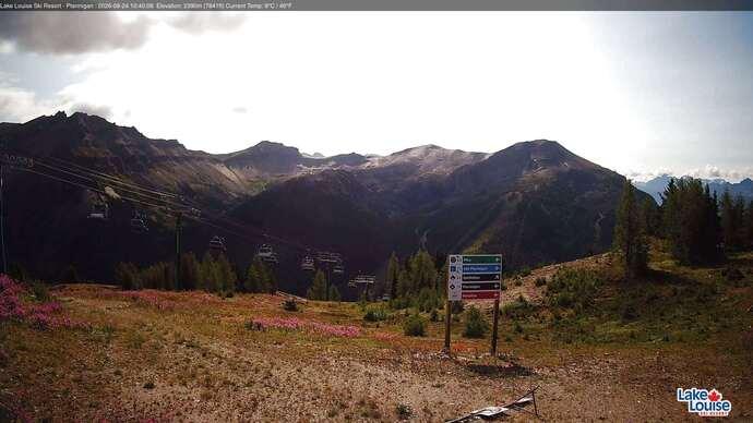 Webcam Fernie: Ptarmigan