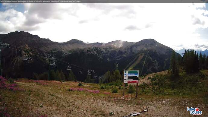 Webcam Fernie: Ptarmigan