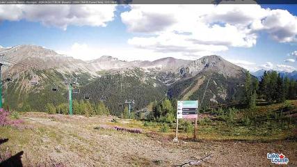 Fernie: Ptarmigan (skifernie.com)