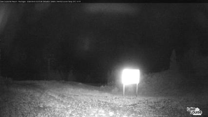 Fernie: Ptarmigan (skifernie.com)