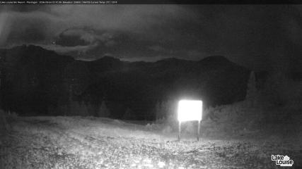 Fernie: Ptarmigan (skifernie.com)
