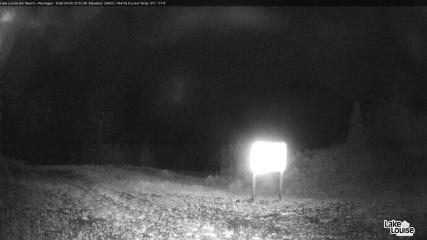 Fernie: Ptarmigan (skifernie.com)
