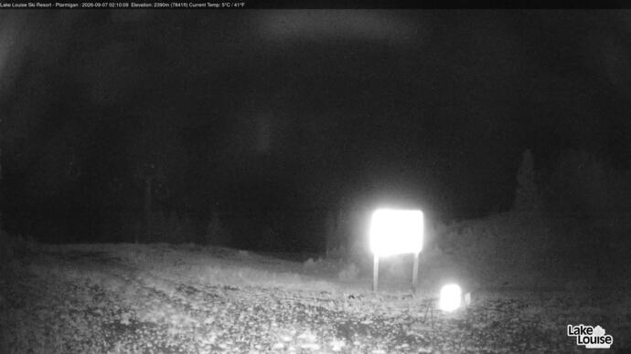 Webcam Fernie: Ptarmigan