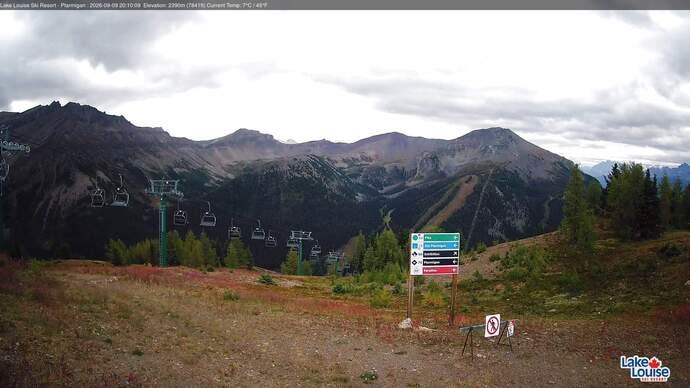 Webcam Fernie: Ptarmigan