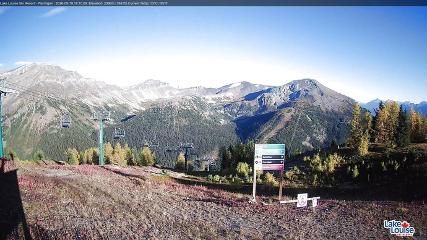 Fernie: Ptarmigan (skifernie.com)
