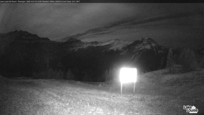 Webcam Fernie: Ptarmigan