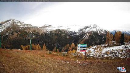 Fernie: Ptarmigan (skifernie.com)