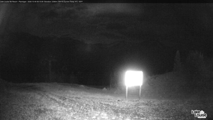Webcam Fernie: Ptarmigan