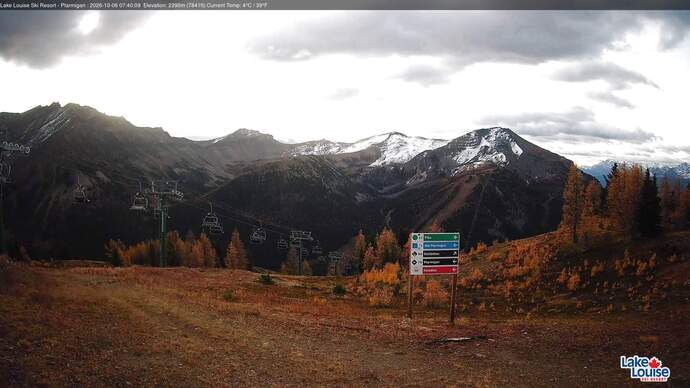 Webcam Fernie: Ptarmigan